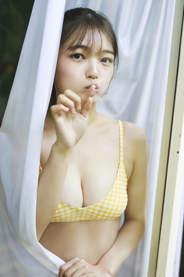 豺狼计划