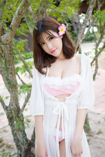 功夫阿宝：天下无拐