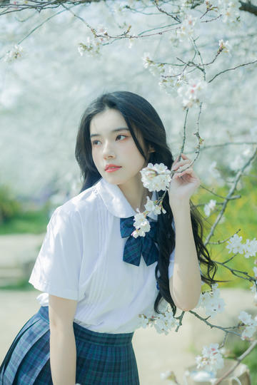 鸟与蜜蜂