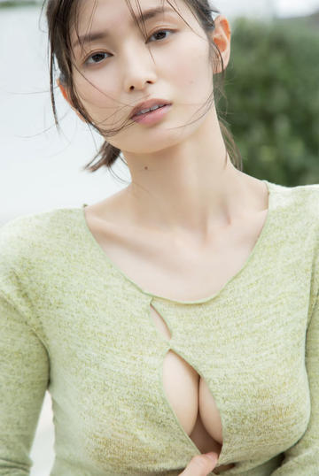 四只小野鸭